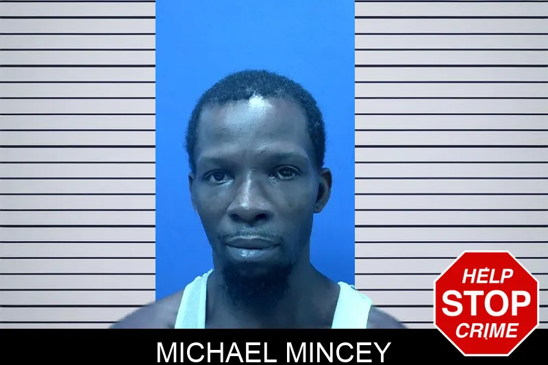 Michael Mincey mugshot – Troup County , Georgia Michael Mincey mugshot