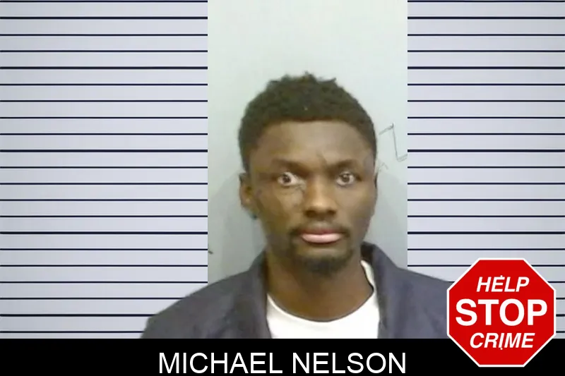 Michael Nelson mugshot