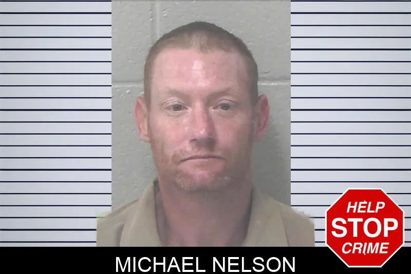 Michael Nelson mugshot – Newton County , Georgia Michael Nelson mugshot