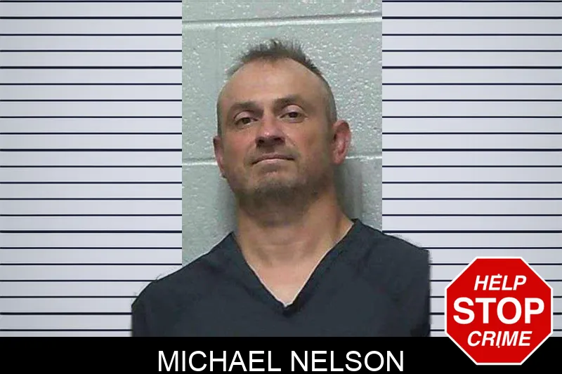 Michael Nelson mugshot