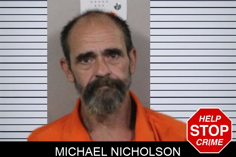 Michael Nicholson mugshot