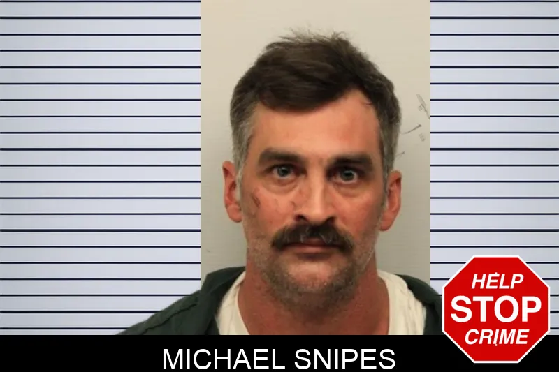 Michael Snipes mugshot – Chatham County , Georgia Michael Snipes mugshot