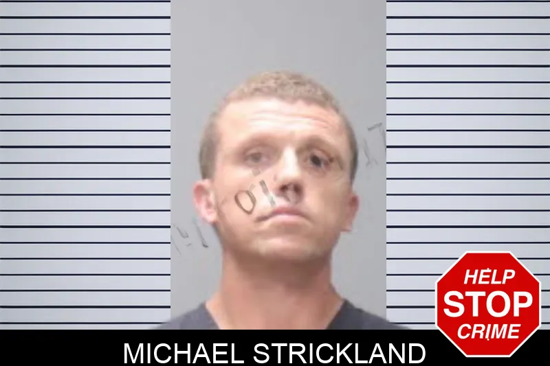 Michael Strickland mugshot