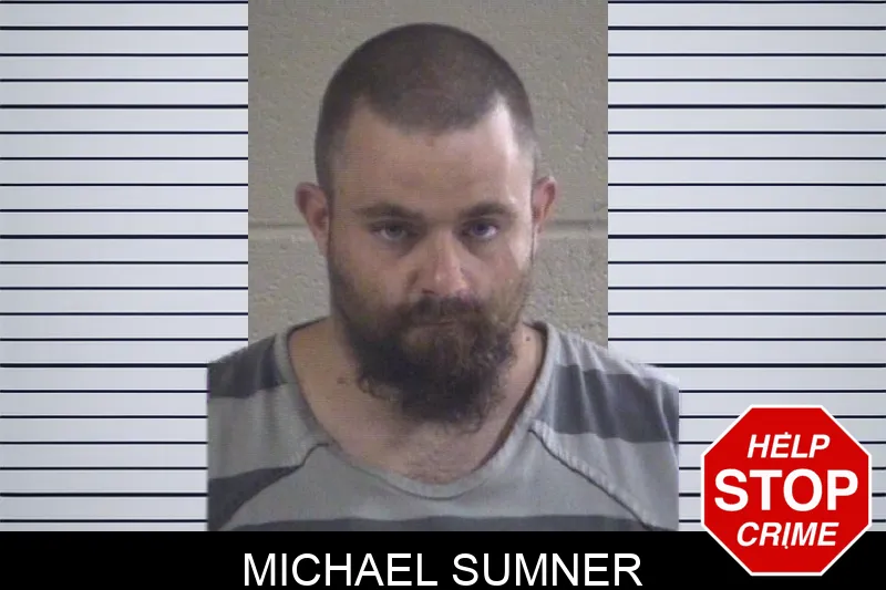 Michael Sumner mugshot