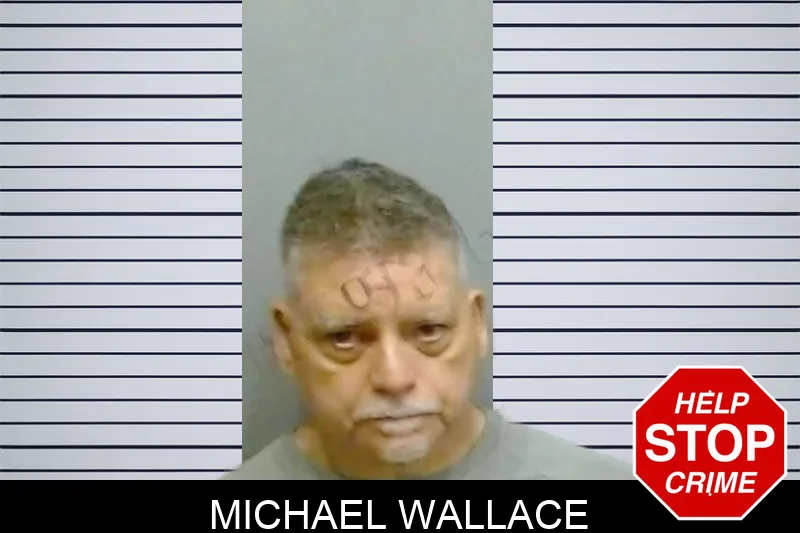 Michael Wallace mugshot