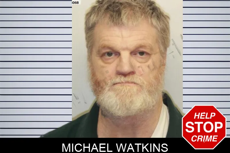 Michael Watkins mugshot