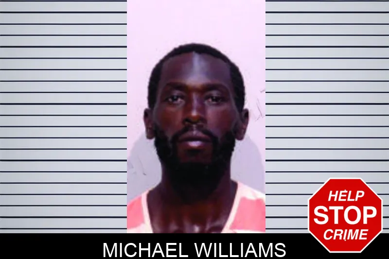 Michael Williams mugshot – Bartow County , Georgia Michael Williams mugshot