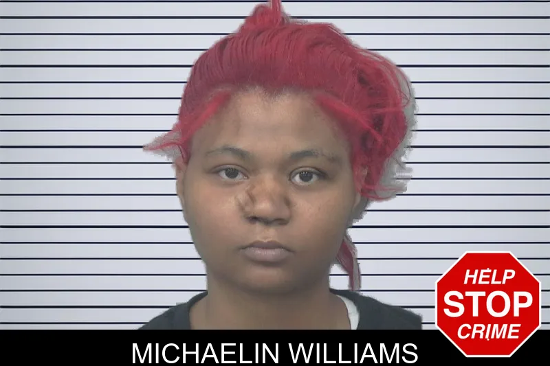 Michaelin Williams mugshot – Gwinnett County , Georgia Michaelin Williams mugshot
