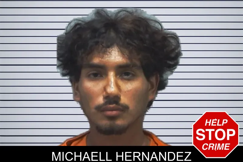 Michaell Hernandez mugshot