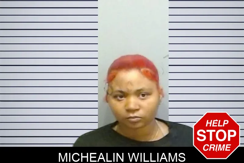 Michealin Williams mugshot