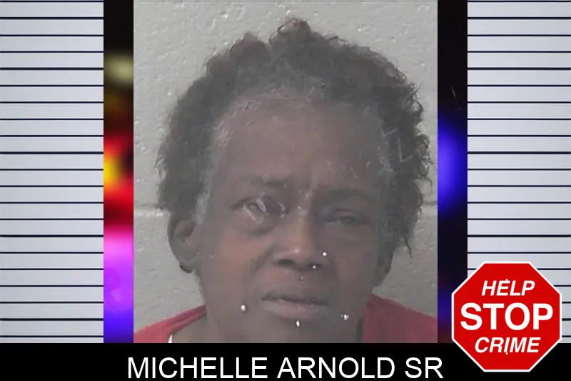 Michelle Arnold Sr mugshot – Newton County , Georgia Michelle Arnold Sr mugshot