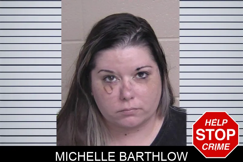 Michelle Barthlow mugshot
