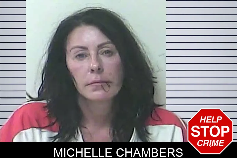 Michelle Chambers mugshot – Oconee County , Georgia Michelle Chambers mugshot