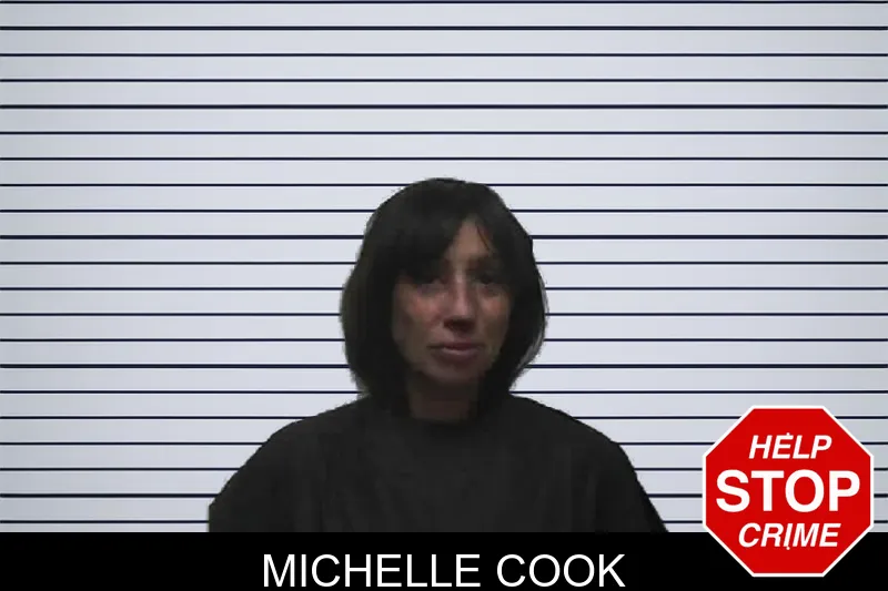 Michelle Cook mugshot