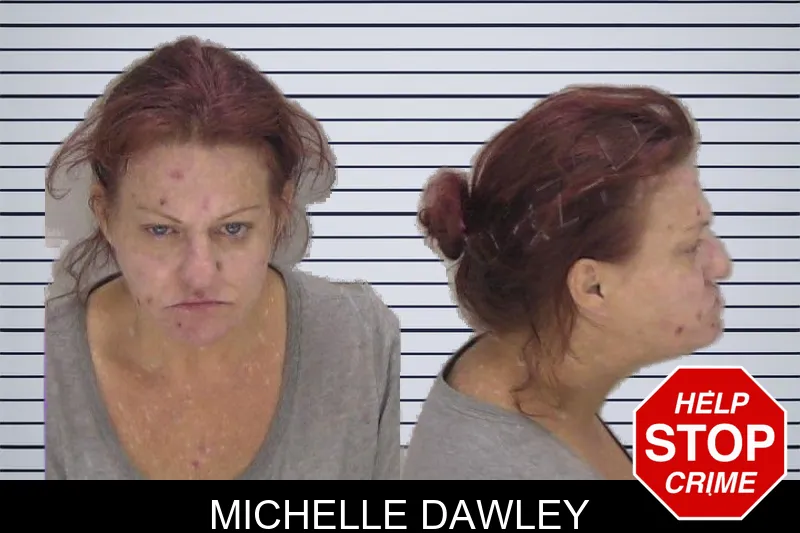 Michelle Dawley mugshot – Richmond County , Georgia Michelle Dawley mugshot