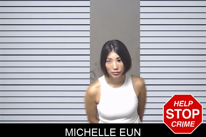 Michelle Eun mugshot