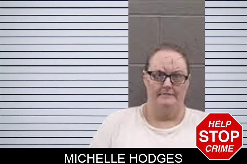 Michelle Hodges mugshot – Banks County , Georgia Michelle Hodges mugshot