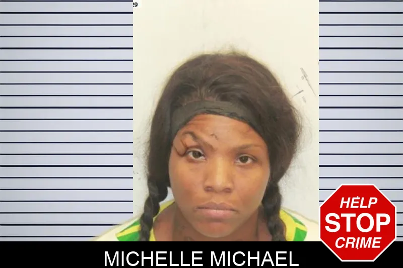 Michelle Michael mugshot – Chatham County , Georgia Michelle Michael mugshot