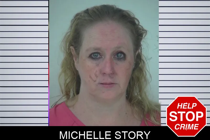 Michelle Story mugshot – Fayette County , Georgia Michelle Story mugshot