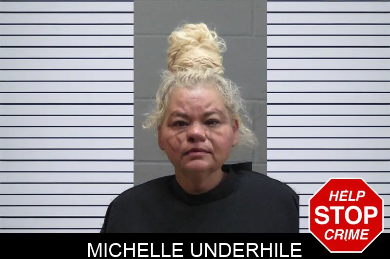 Michelle Underhile mugshot – Madison County , Georgia Michelle Underhile mugshot
