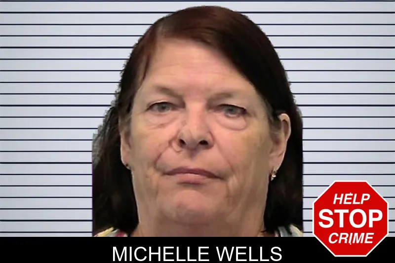 Michelle Wells mugshot – Ware County , Georgia Michelle Wells mugshot