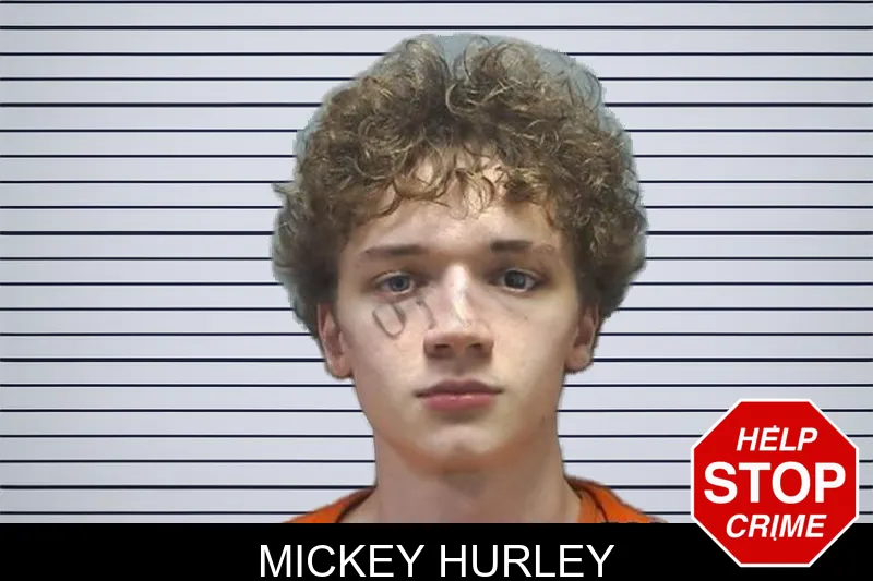 Mickey Hurley mugshot – Cherokee County , Georgia Mickey Hurley mugshot