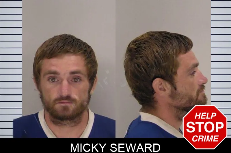 Micky Seward mugshot