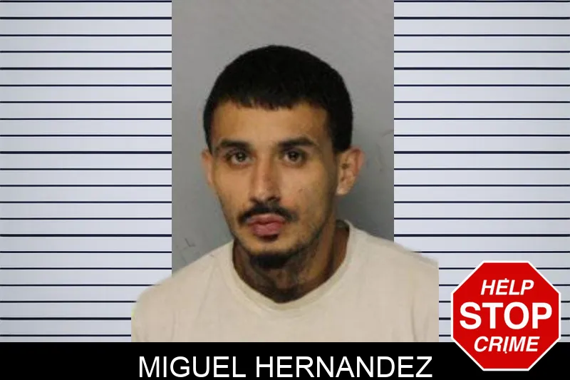 Miguel Hernandez mugshot