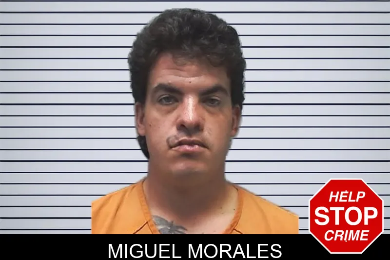 Miguel Morales mugshot