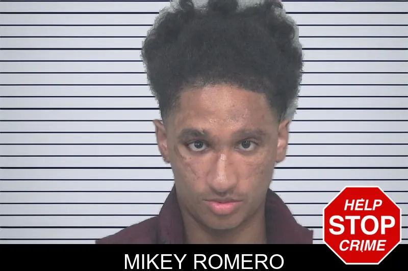 Mikey Romero mugshot