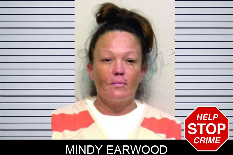 Mindy Earwood mugshot – Bartow County , Georgia Mindy Earwood mugshot