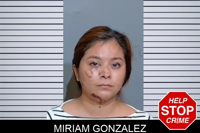 Miriam Gonzalez mugshot – Glynn County , Georgia Miriam Gonzalez mugshot