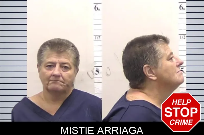 Mistie Arriaga mugshot – Clarke County , Georgia Mistie Arriaga mugshot