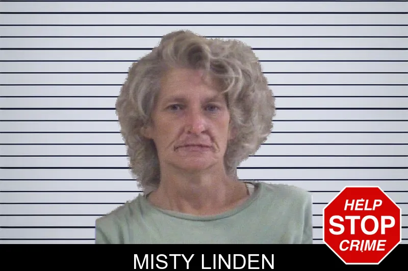 Misty Linden mugshot – Whitfield County , Georgia Misty Linden mugshot