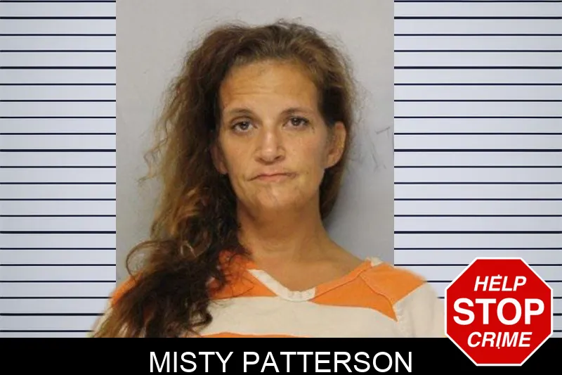 Misty Patterson mugshot – Hall County , Georgia Misty Patterson mugshot