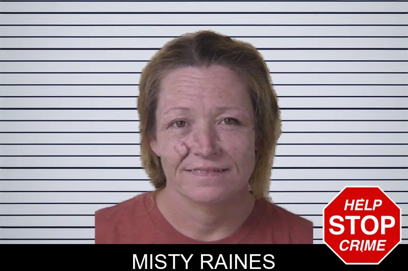 Misty Raines mugshot