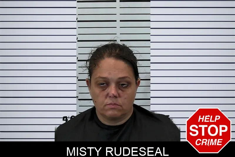Misty Rudeseal mugshot