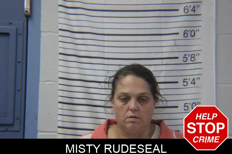 Misty Rudeseal mugshot