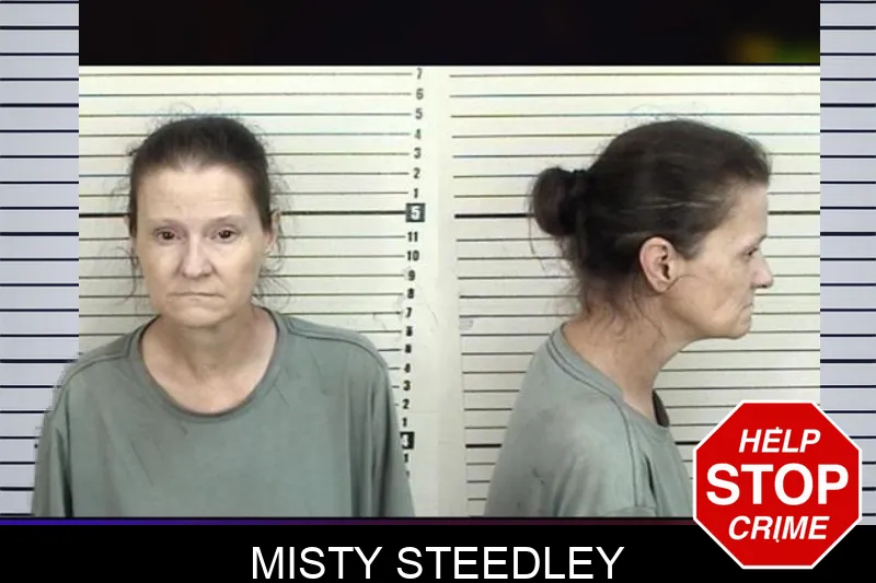Misty Steedley mugshot – Camden County , Georgia Misty Steedley mugshot