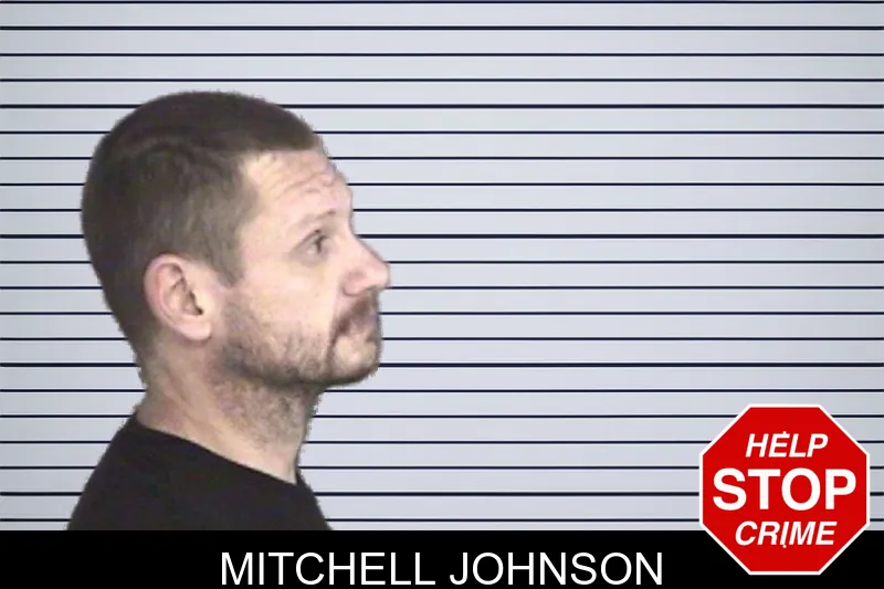Mitchell Johnson mugshot