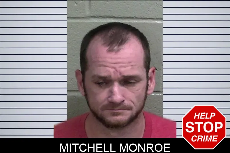 Mitchell Monroe mugshot – Wayne County , Georgia Mitchell Monroe mugshot