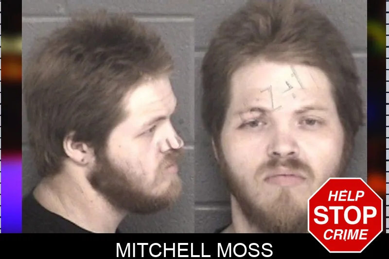 Mitchell Moss mugshot