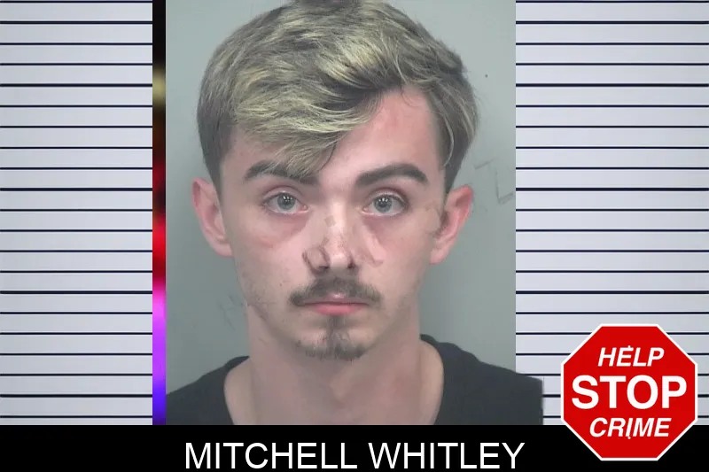 Mitchell Whitley mugshot