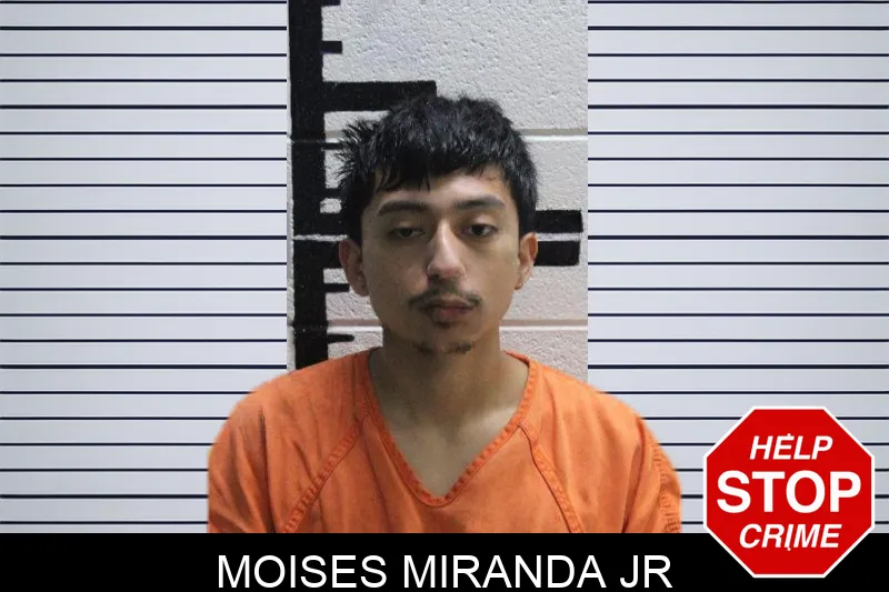 Moises Miranda Jr mugshot
