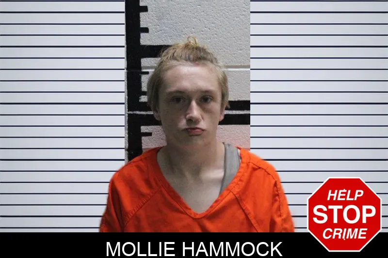 Mollie Hammock mugshot – Murray County , Georgia Mollie Hammock mugshot