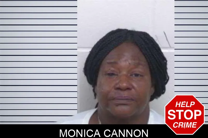 Monica Cannon mugshot