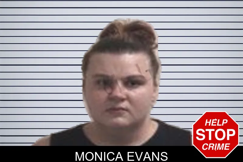 Monica Evans mugshot