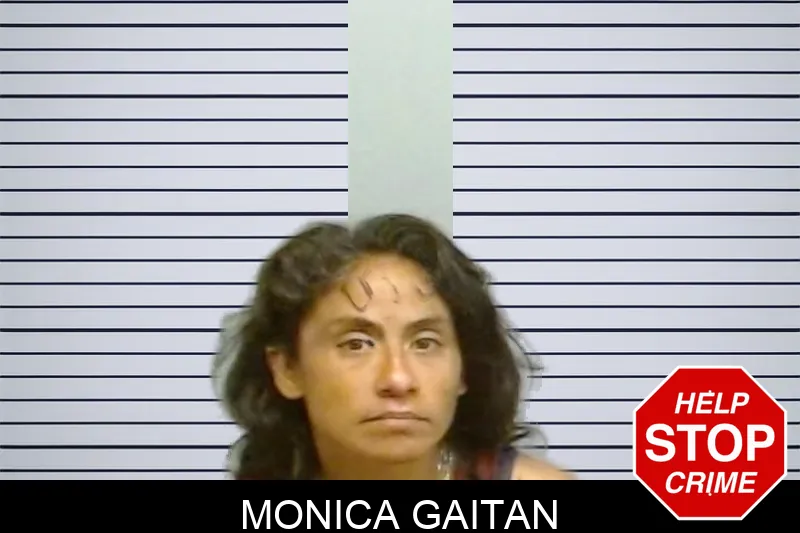Monica Gaitan mugshot