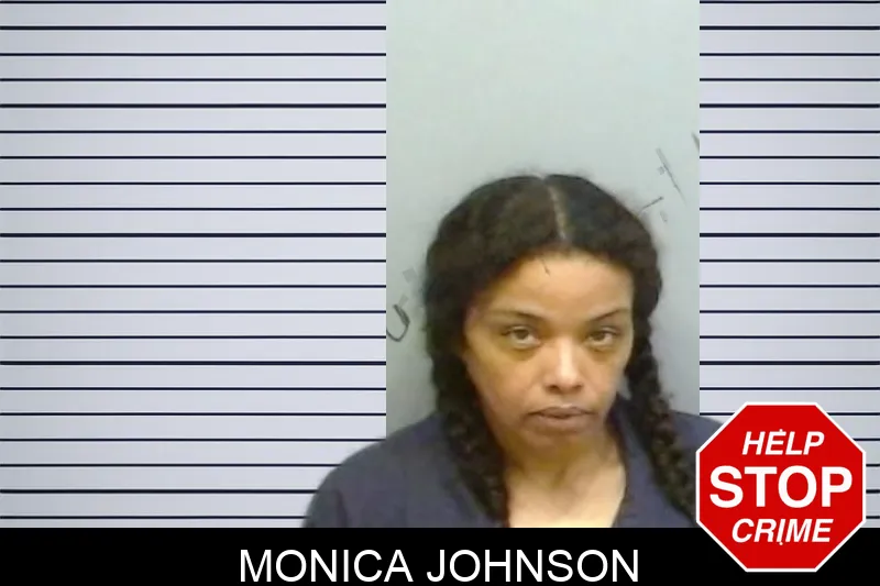 Monica Johnson mugshot