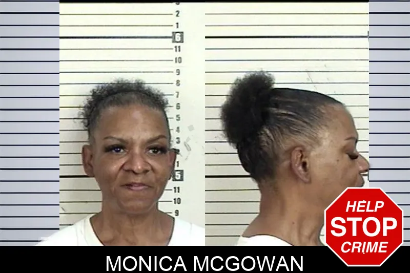 Monica McGowan mugshot